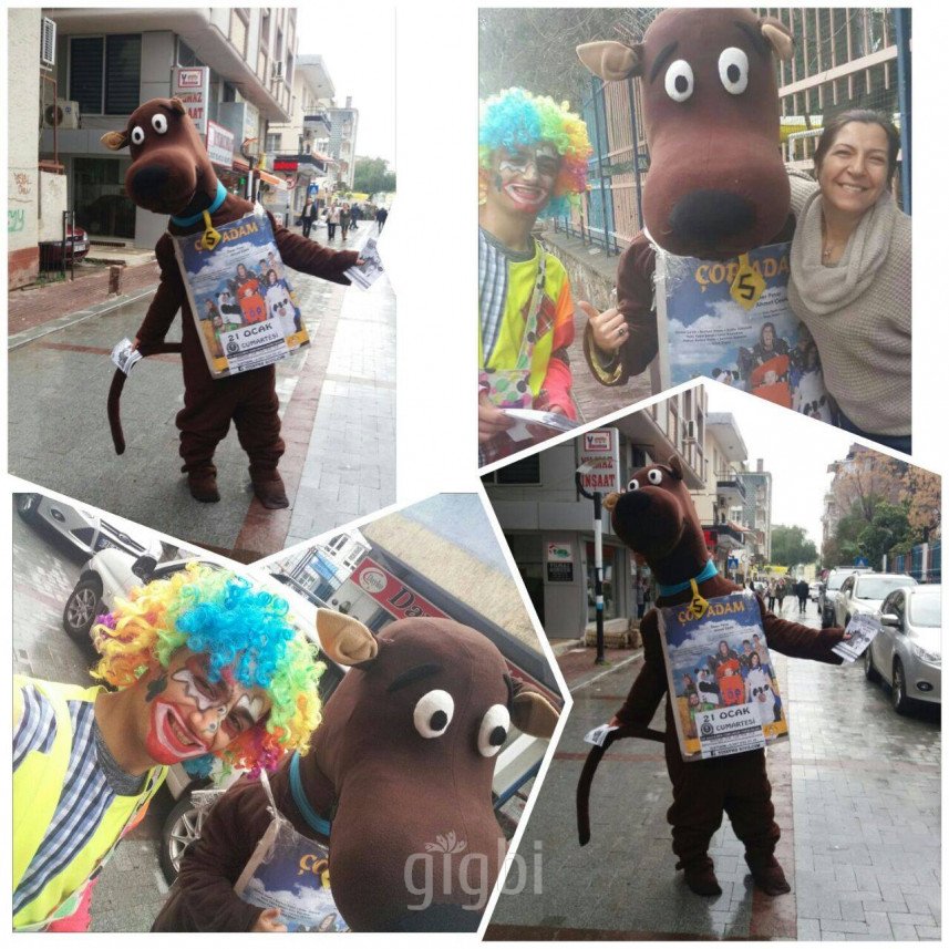 De Lina Organizasyon