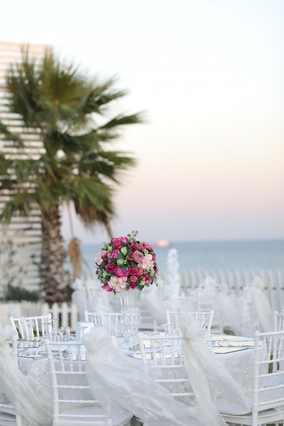 Deniz Bahçe  Jardin De Mer
