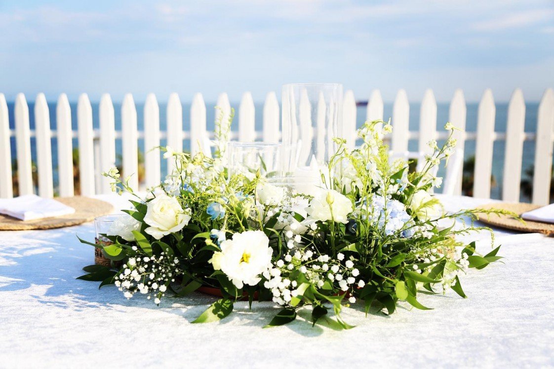 Deniz Bahçe  Jardin De Mer