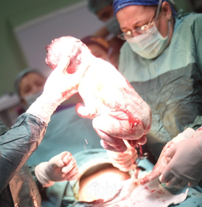 Deniz Balun Photography