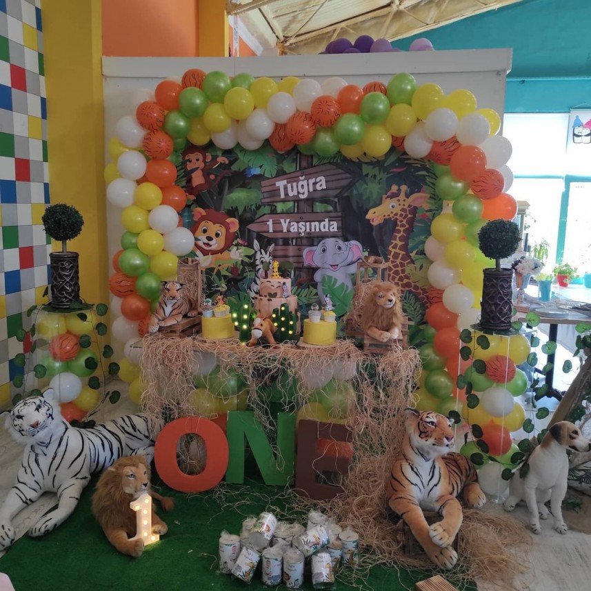 Derin Meva Organizasyon