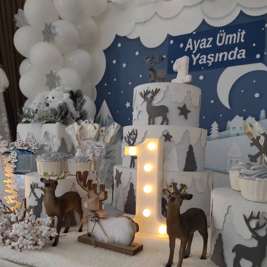 Derin Meva Organizasyon