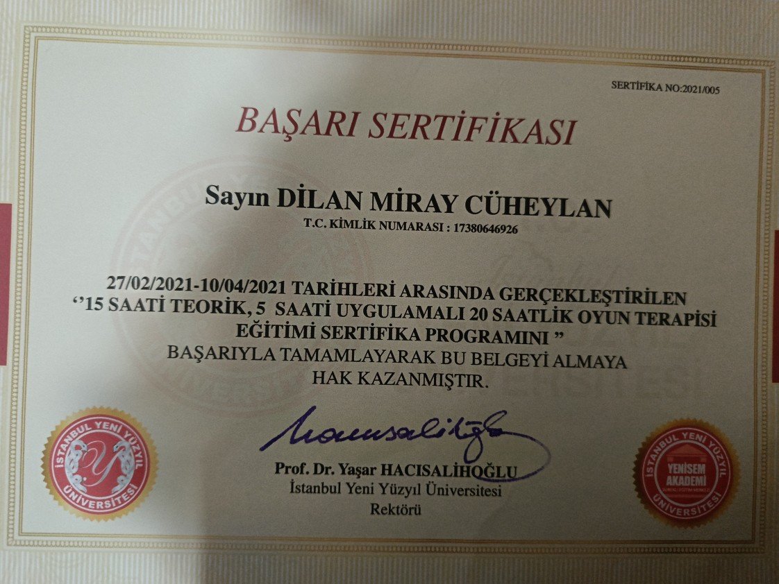Dilan Miray Cüheylan