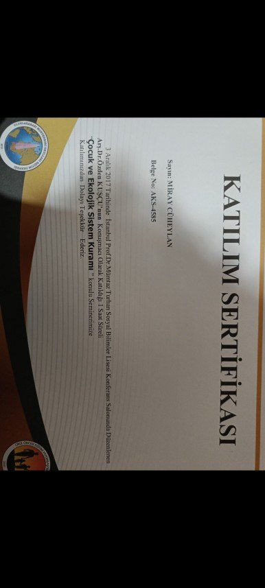 Dilan Miray Cüheylan