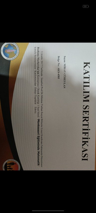 Dilan Miray Cüheylan