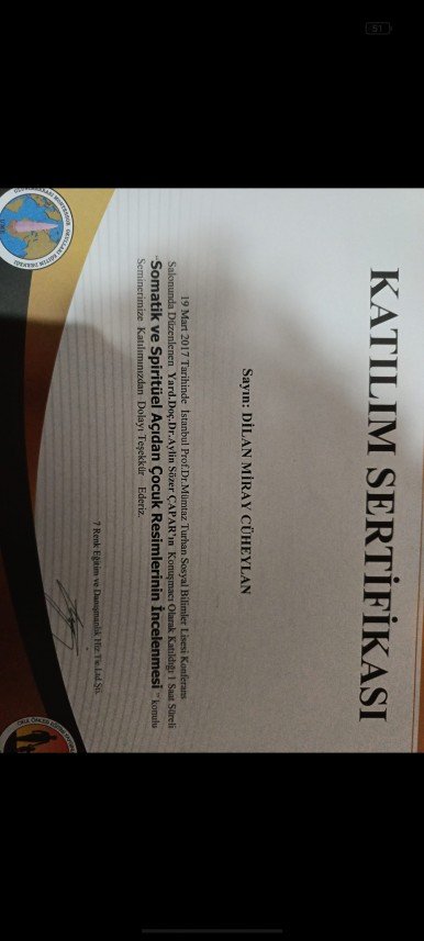 Dilan Miray Cüheylan