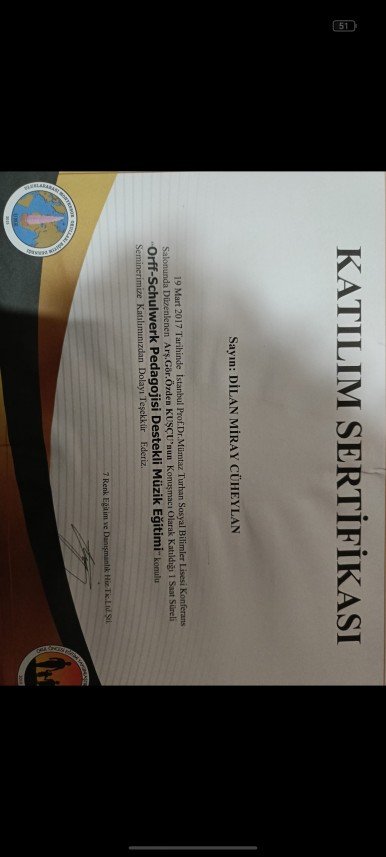 Dilan Miray Cüheylan