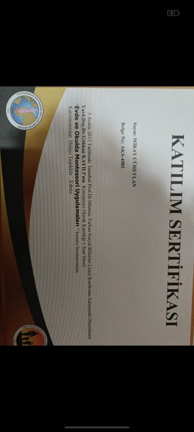 Dilan Miray Cüheylan