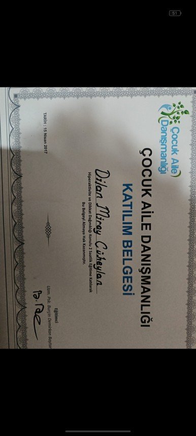 Dilan Miray Cüheylan