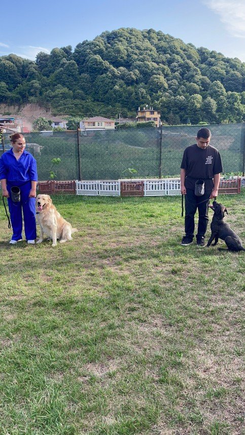 Dog Wizard İstanbul