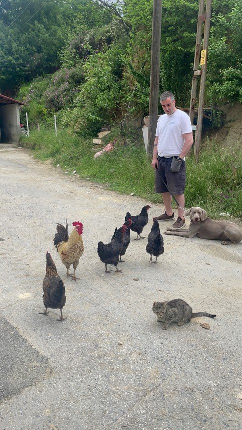 Dog Wizard İstanbul