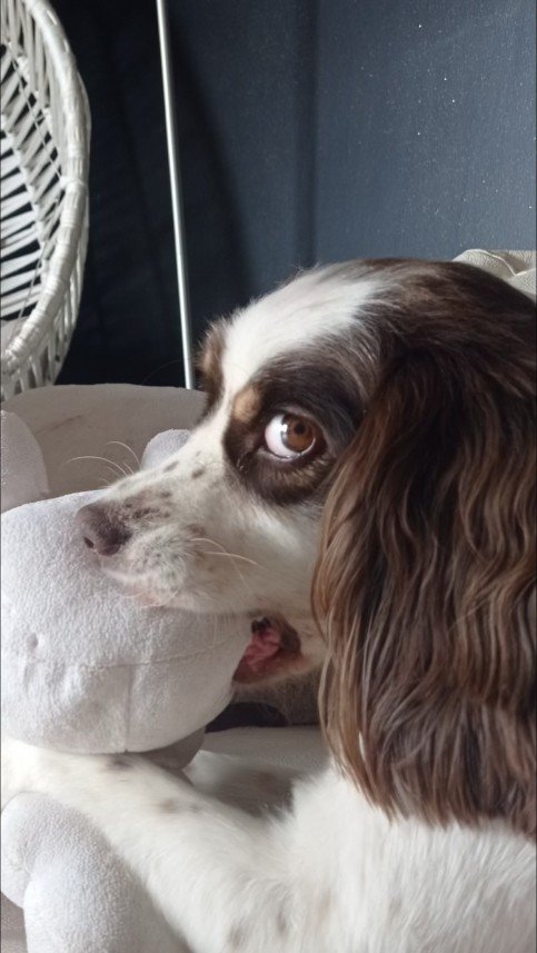 Doğa Deniz Kocatürk