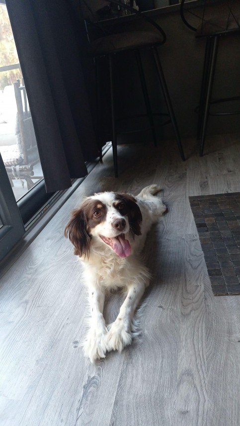 Doğa Deniz Kocatürk