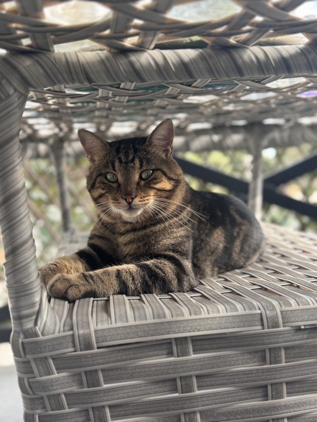 Doğa Deniz Kocatürk