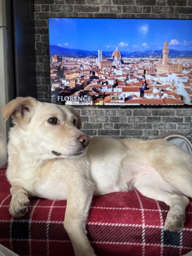 Doğa Deniz Kocatürk