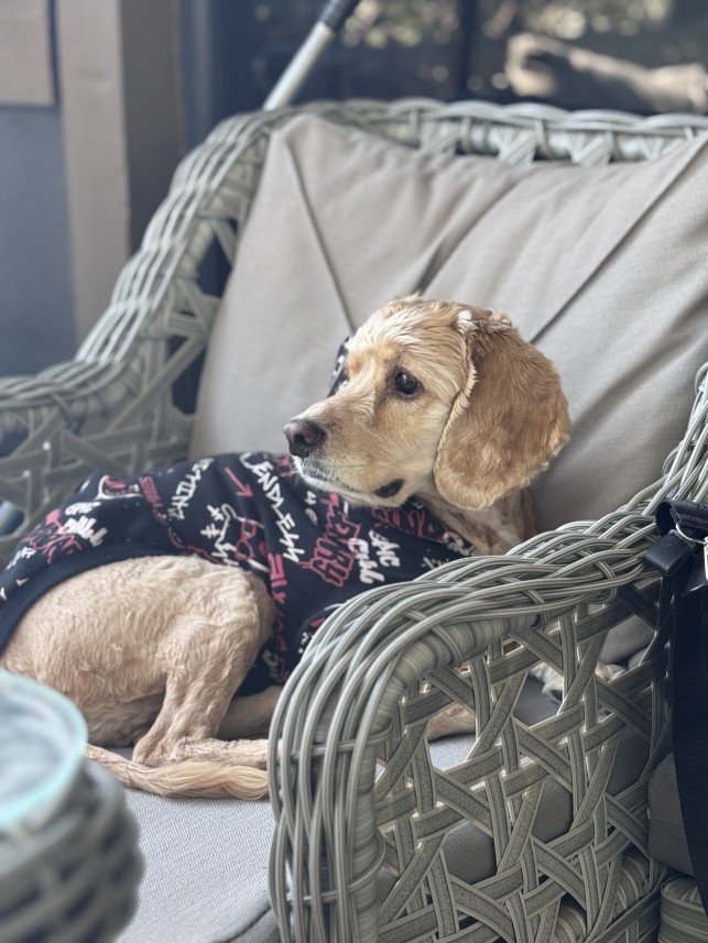 Doğa Deniz Kocatürk