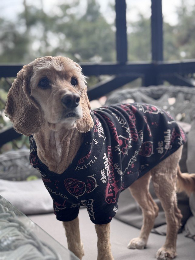 Doğa Deniz Kocatürk