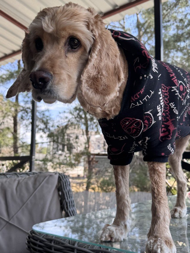 Doğa Deniz Kocatürk