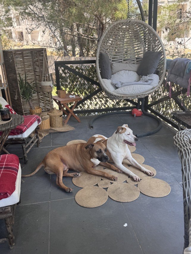 Doğa Deniz Kocatürk