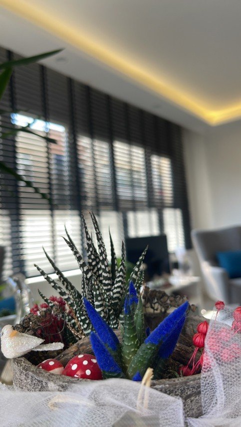 Turgutlu Anka Psikoloji