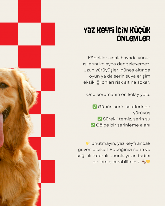 Dopamin Peşinde Medya