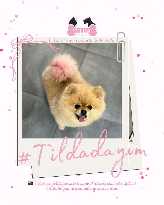 Dopamin Peşinde Medya