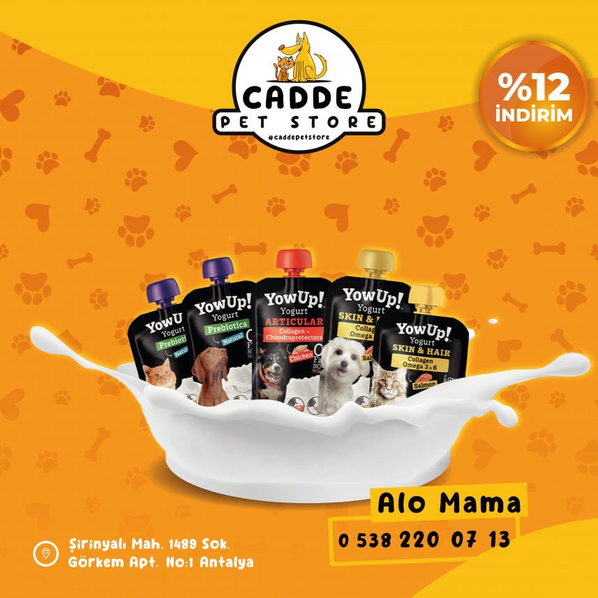 Dopamin Peşinde Medya