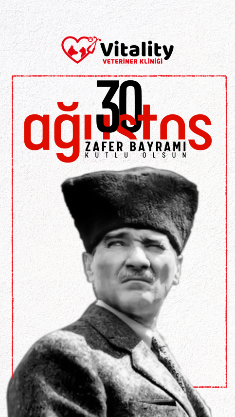 Dopamin Peşinde Medya