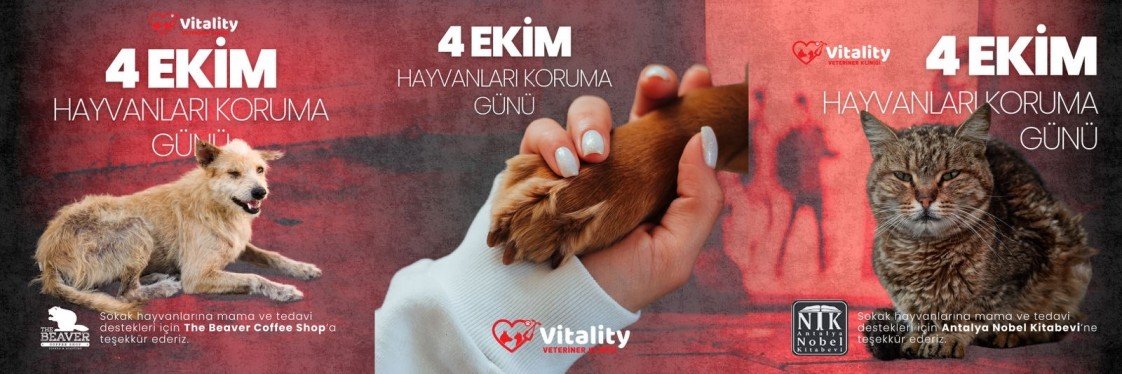 Dopamin Peşinde Medya