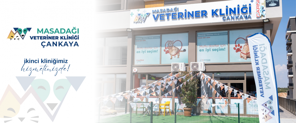 Dopamin Peşinde Medya