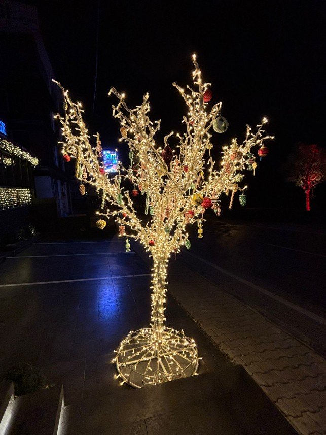 Duman Event Organizasyon