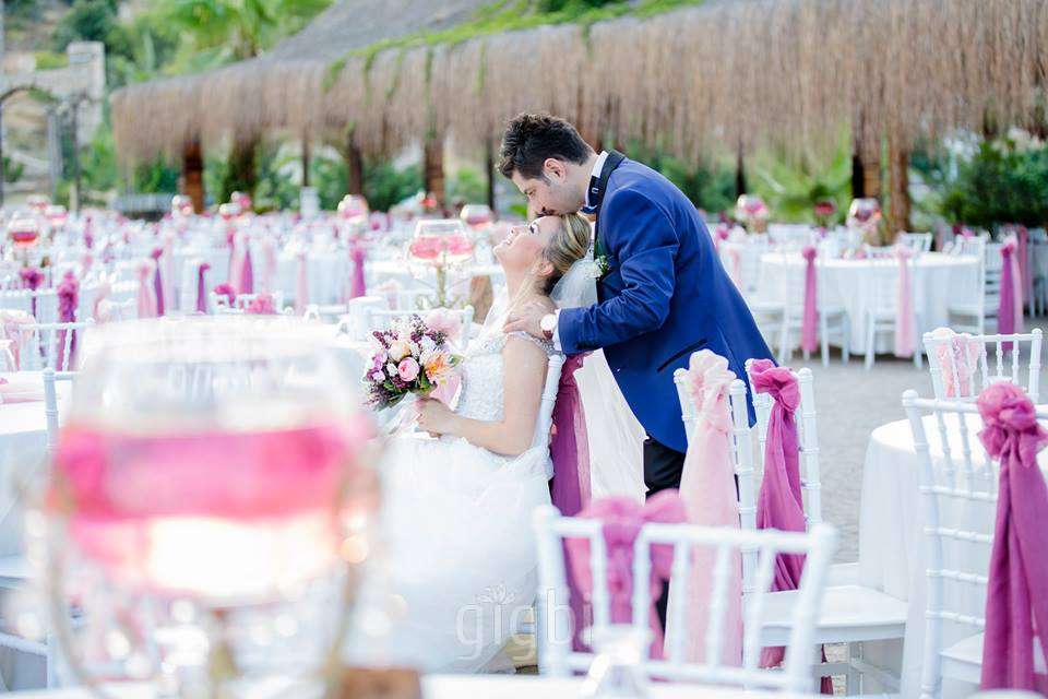 Dünya Aslan Photography