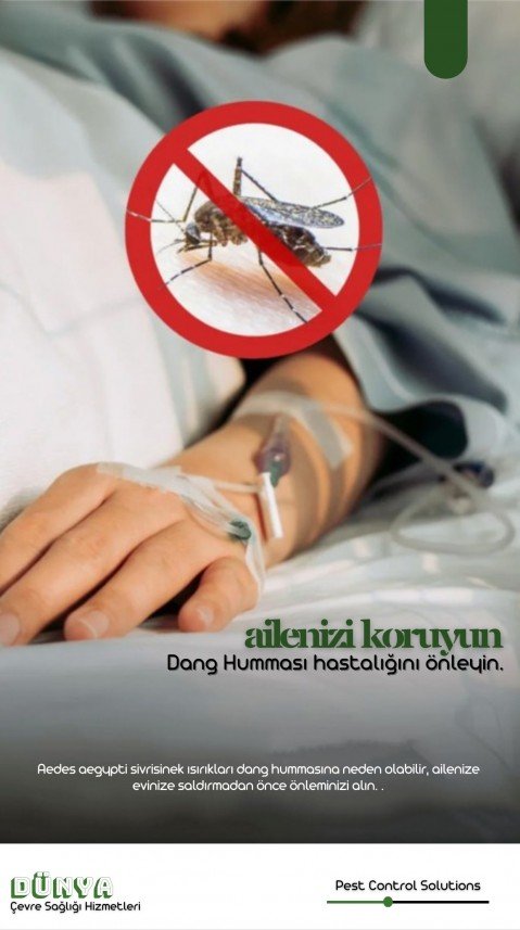 Dünya Çevre Sağlığı