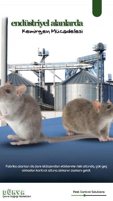 Dünya Çevre Sağlığı