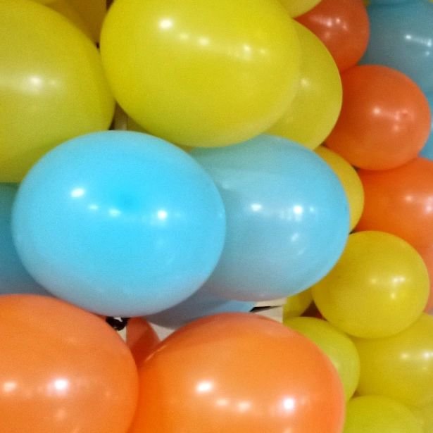 Limon Organizasyon Evi