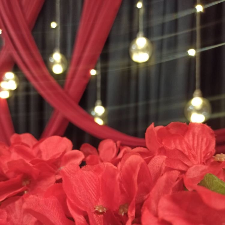 Limon Organizasyon Evi