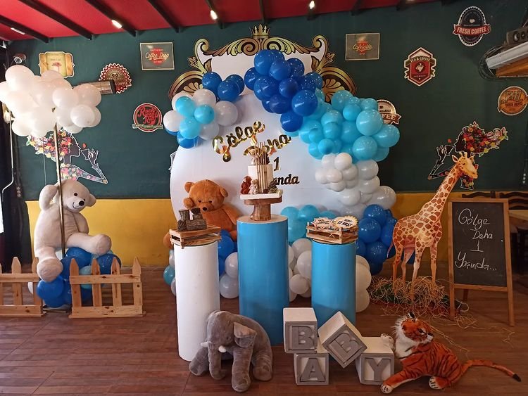 Limon Organizasyon Evi