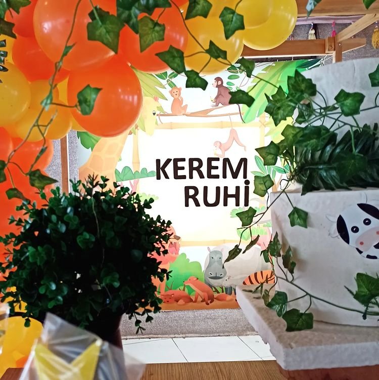 Limon Organizasyon Evi