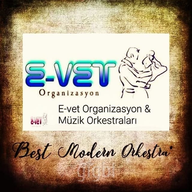 E-vet Organizasyon