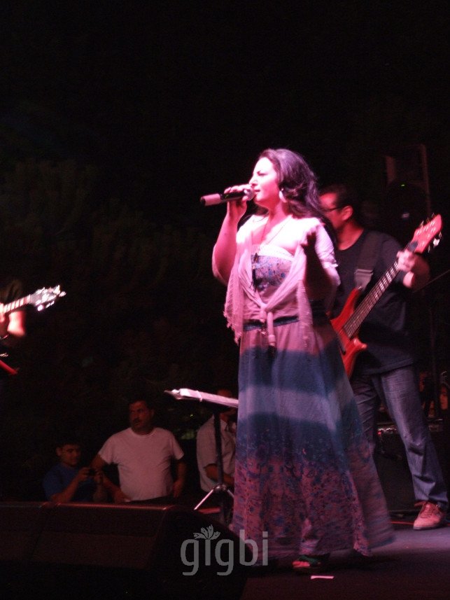 Şebnem Arslan Müzik Organizasyon