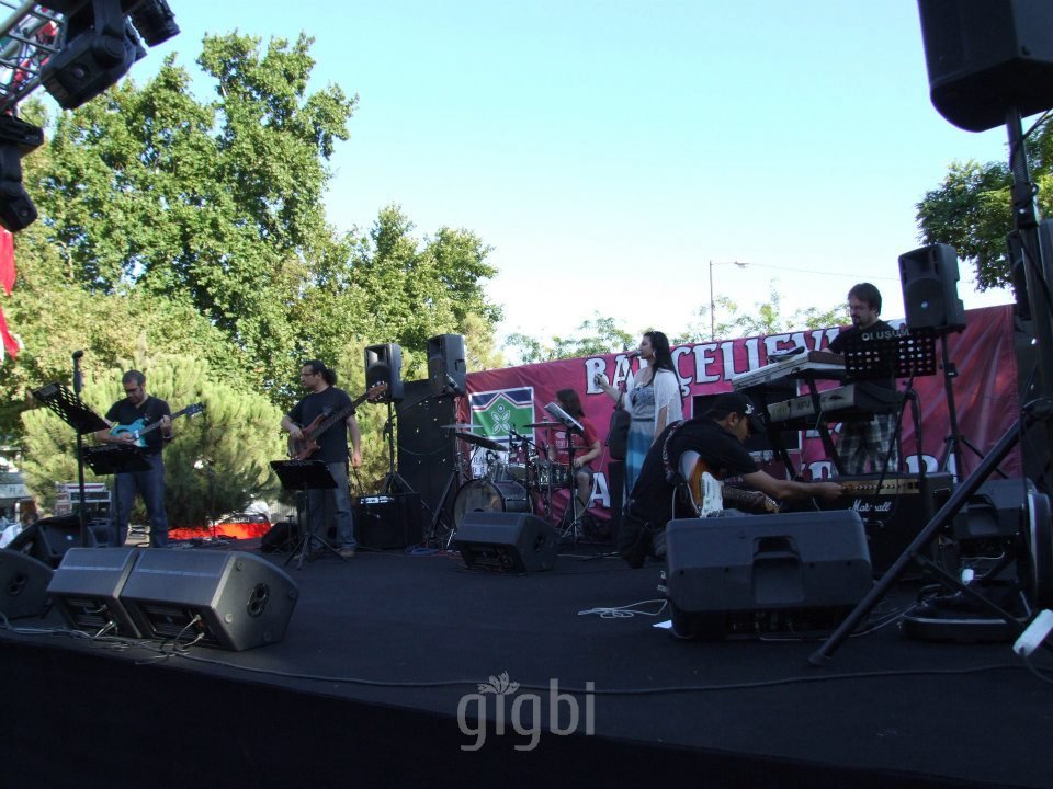 Şebnem Arslan Müzik Organizasyon