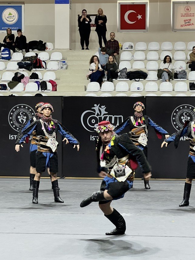 Hanedans Organizasyon