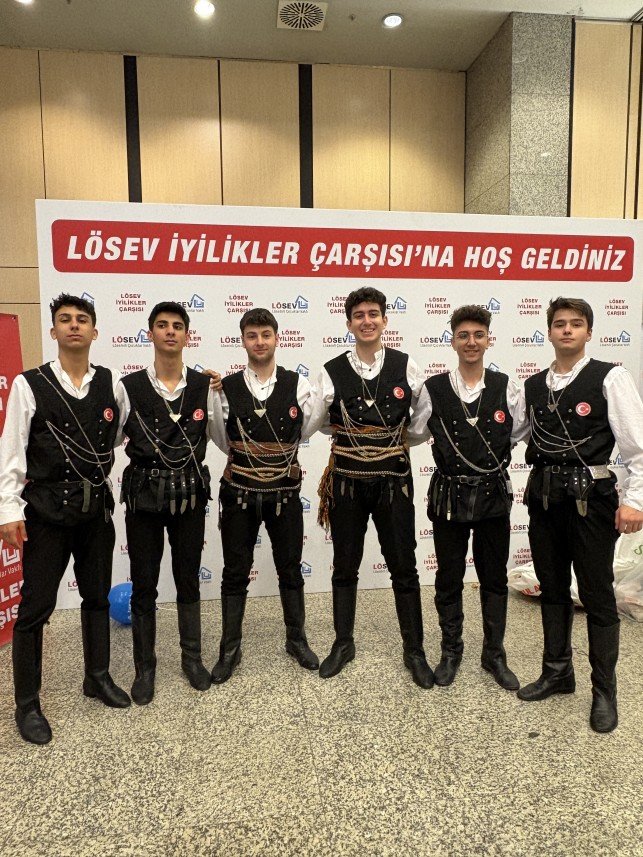 Hanedans Organizasyon