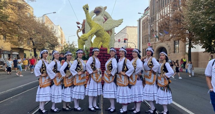 Hanedans Organizasyon