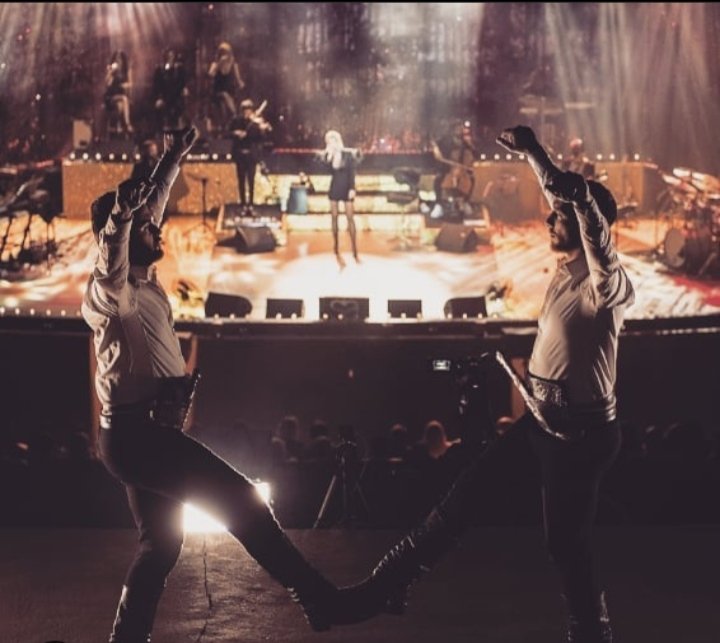 Hanedans Organizasyon