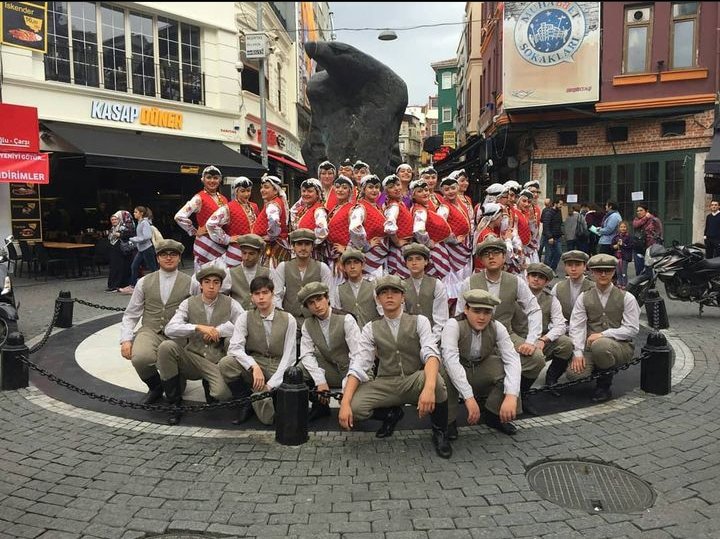 Hanedans Organizasyon