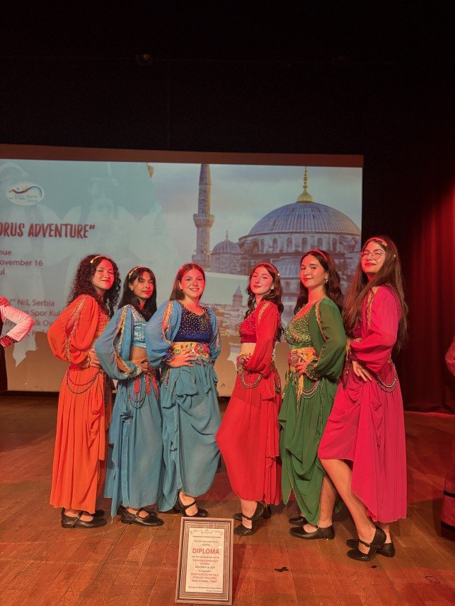 Hanedans Organizasyon