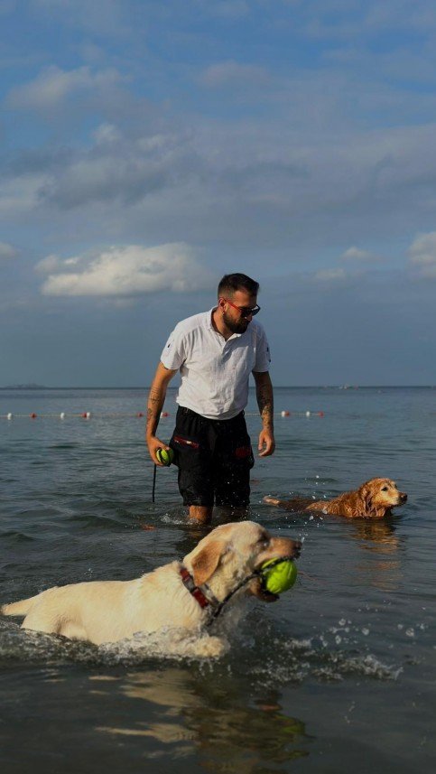 EKVADOG Academy Köpek Eğitim 