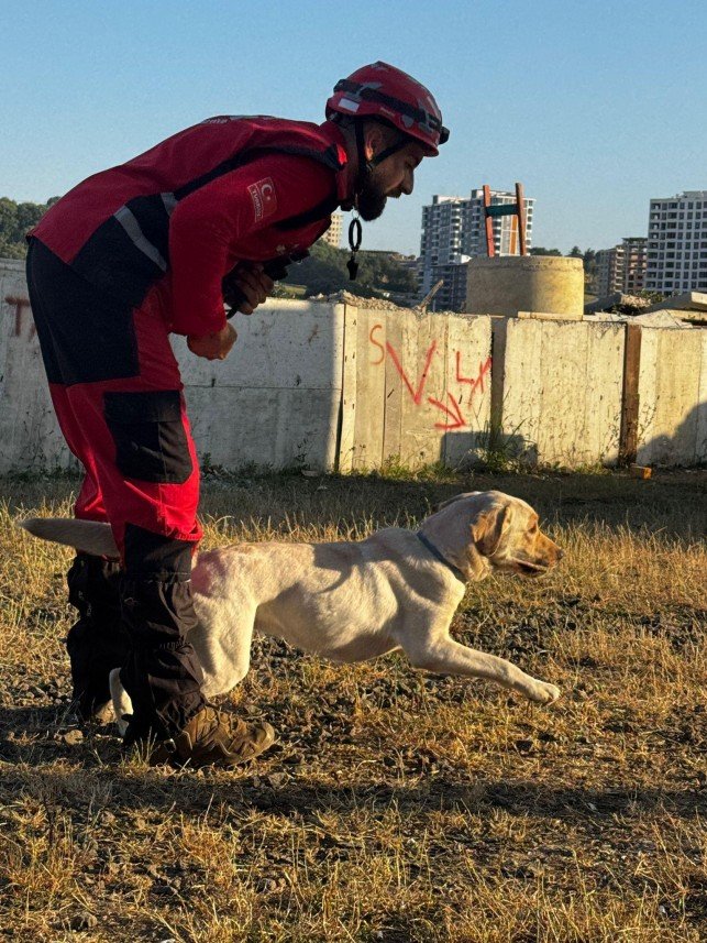 EKVADOG Academy Köpek Eğitim 