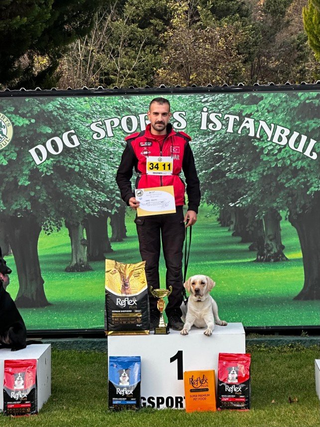 EKVADOG Academy Köpek Eğitim 